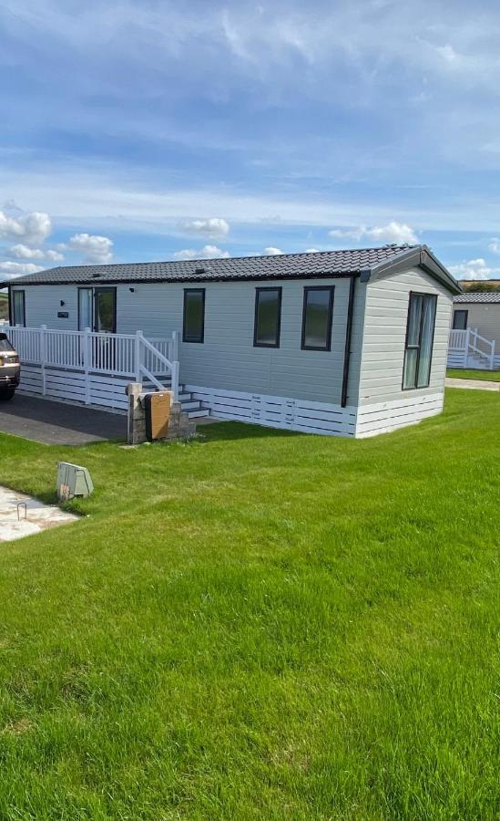Riverwood Lodge New Quay Exteriör bild
